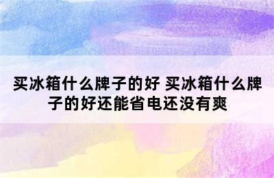 买冰箱什么牌子的好 买冰箱什么牌子的好还能省电还没有爽